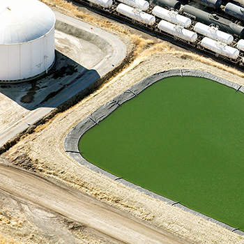 Florida Phosphate Plants Threaten Drinking Water, Biodiversity Thumbnail