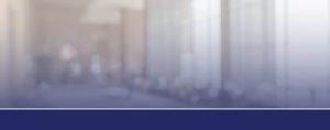 Information Technology Litigation